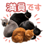 20130120-1.gif