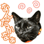 20130120-1.gif