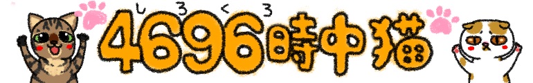 4696時中猫