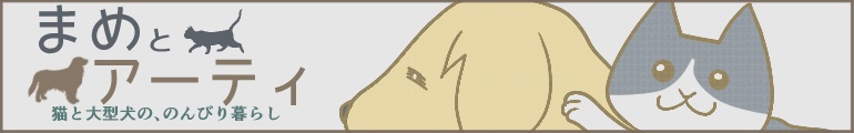 まめとアーティ