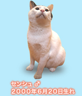 prof_img03.jpg